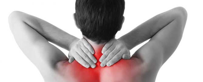 Back Pain Chiropractor | Northeast St. Petersburg | Reza Chiropractic
