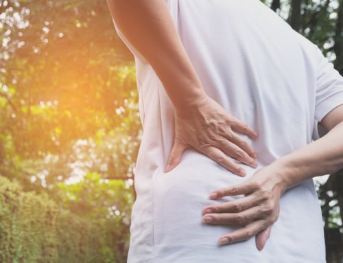 Beat Lower Back Pain with the Best Chiropractic Clinic