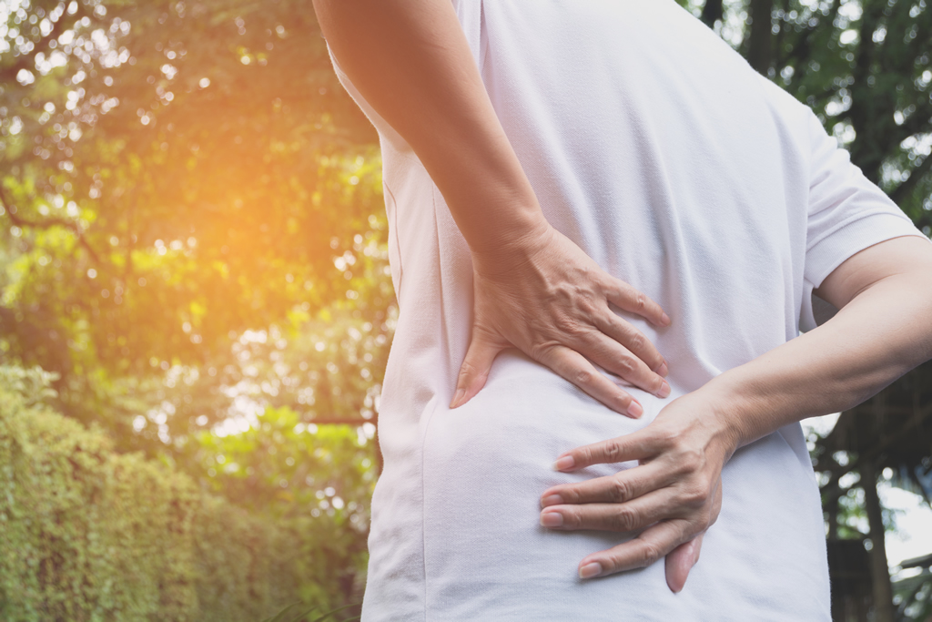 Best Chiropractic Clinic for Lower Back Pain | Reza Chiropractic Clinic